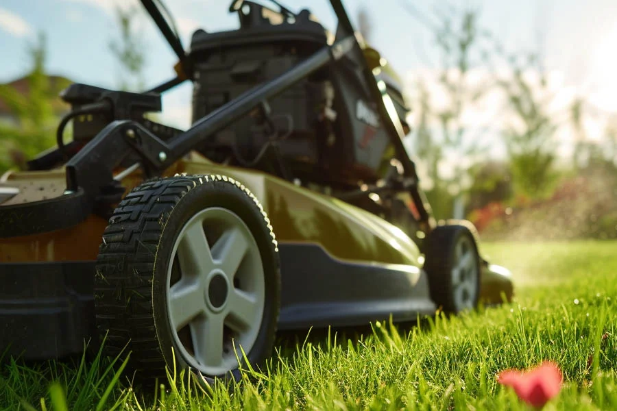 small lawn cutter