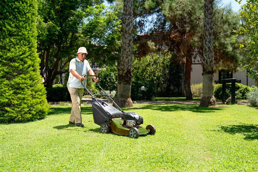 push lawn mower reviews